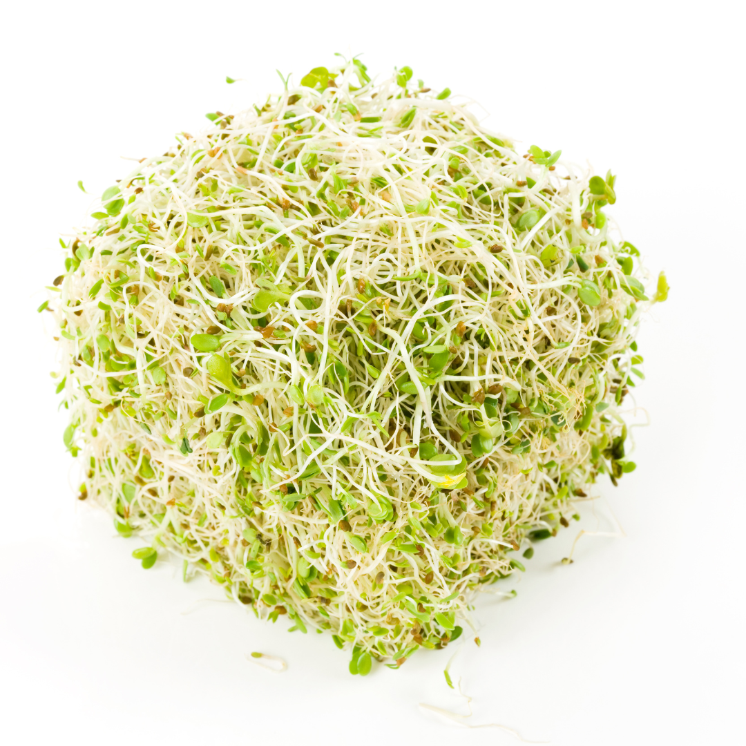 Gerrie's Farm Market Sprouting Seeds