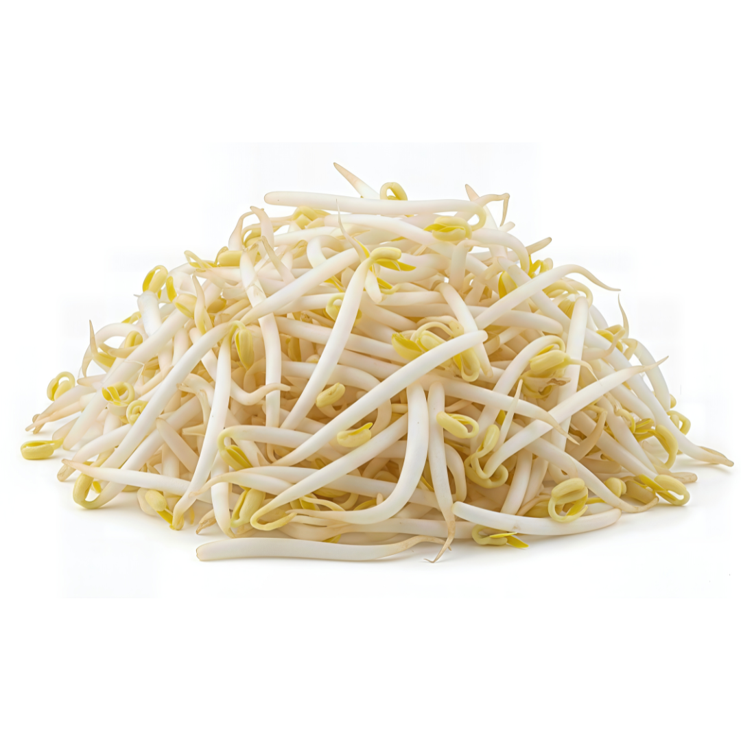 Gerrie's Farm Market Sprouting Seeds