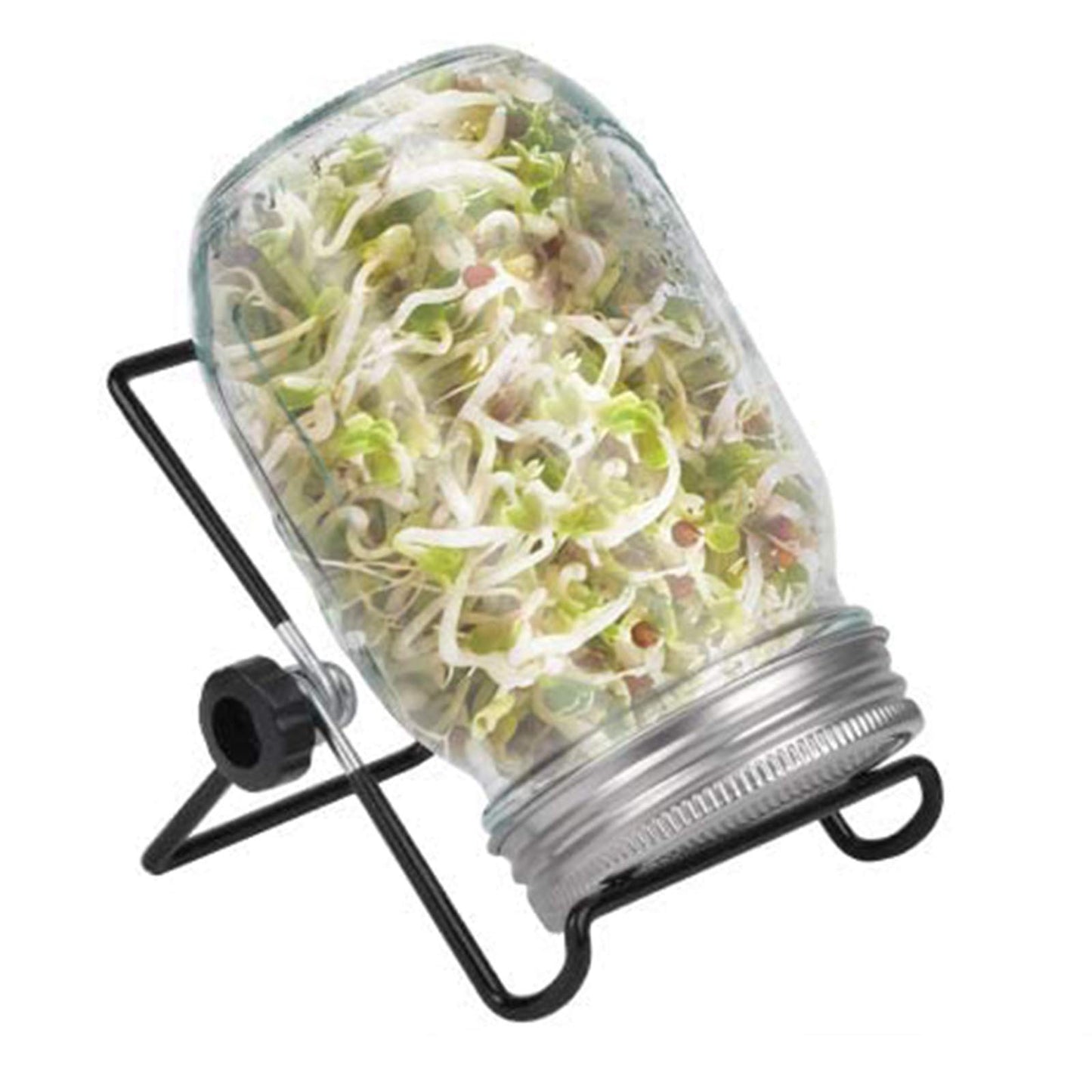 Sprout Jar Lid with Stand